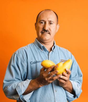 Santos holding mangoes in front of orange background