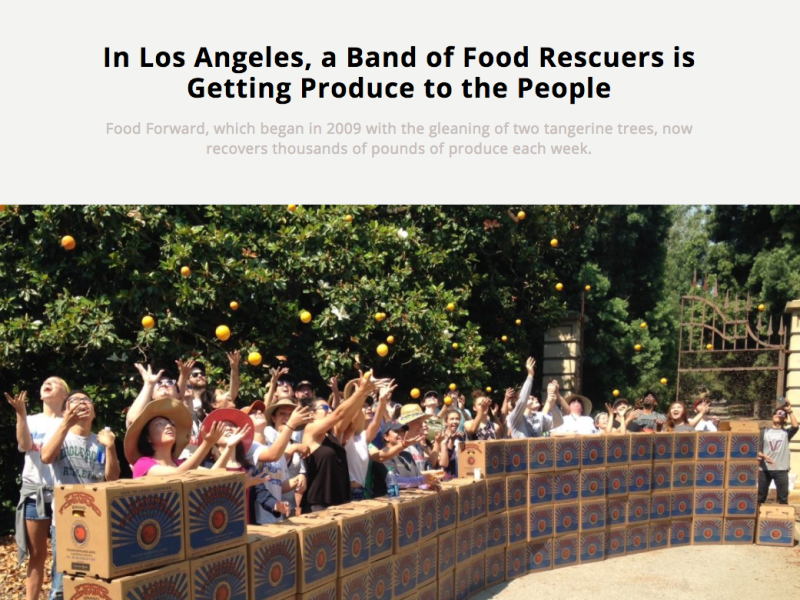 News story with headline and cover photo of volunteers