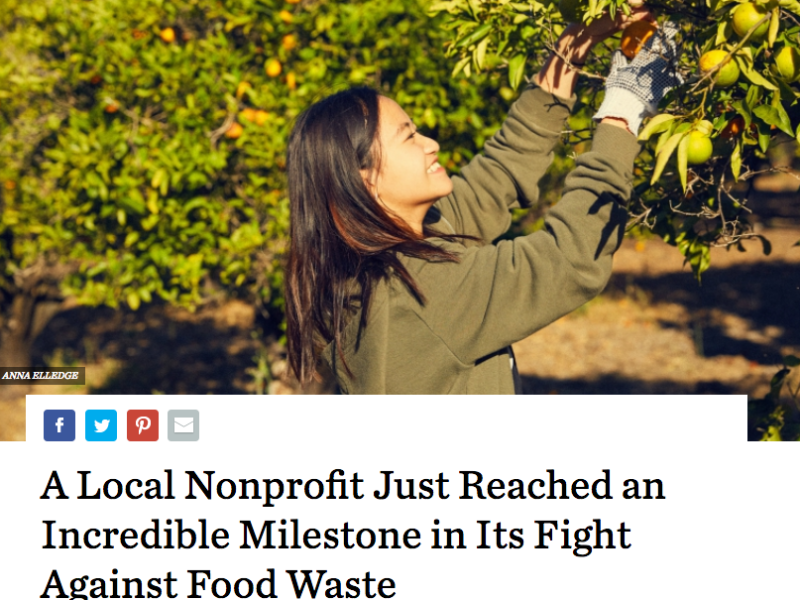 Screenshot of news site with headline and cover image of woman smiling and picking citrus from a tree