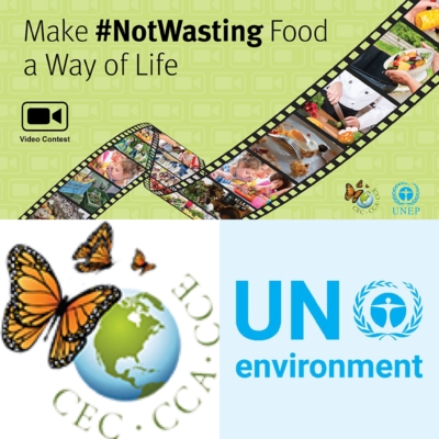 Not wasting award graphic