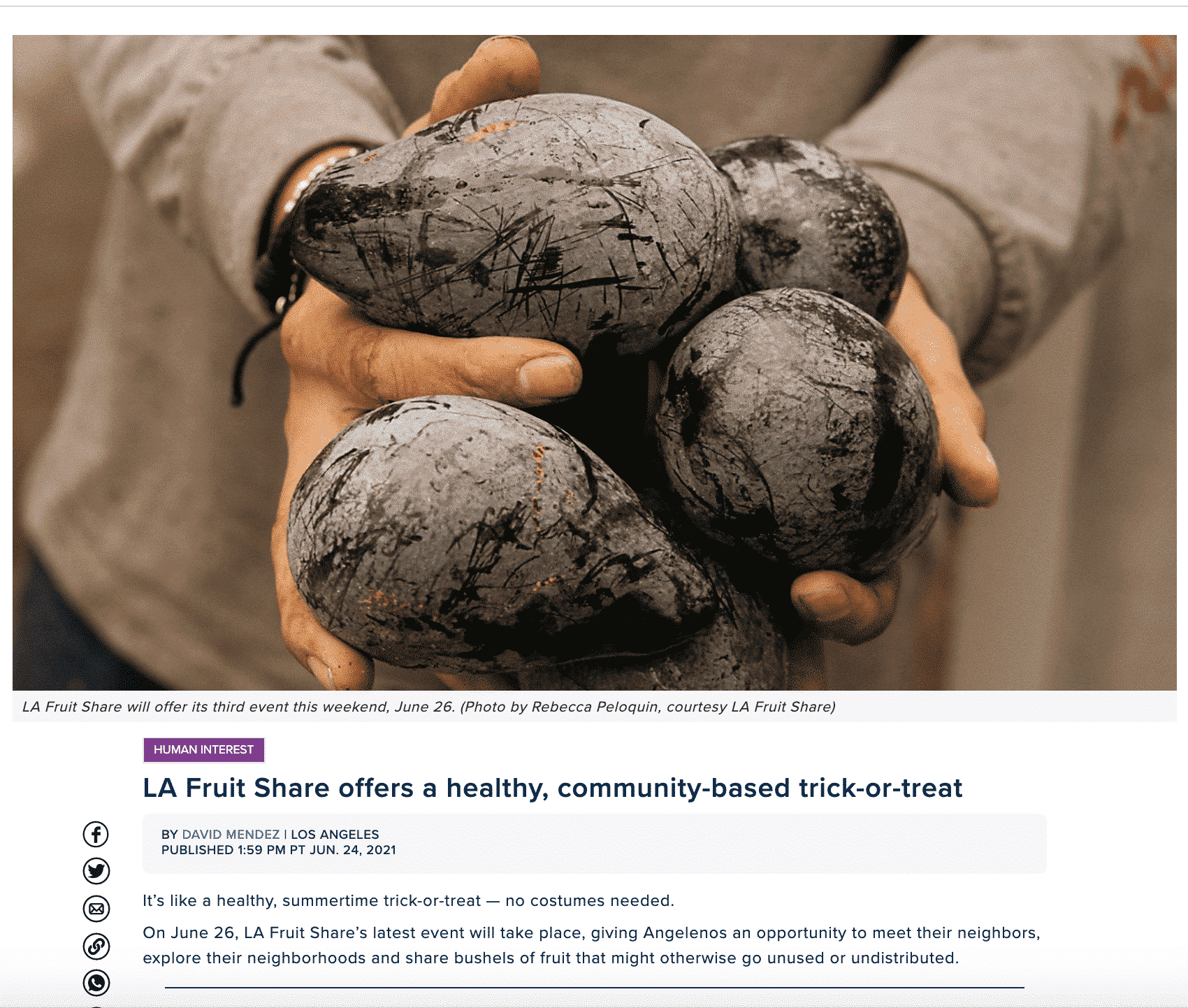 Hands holding avocados with caption LA Fruit SHare offers a healthy, community-based trick-or-treat