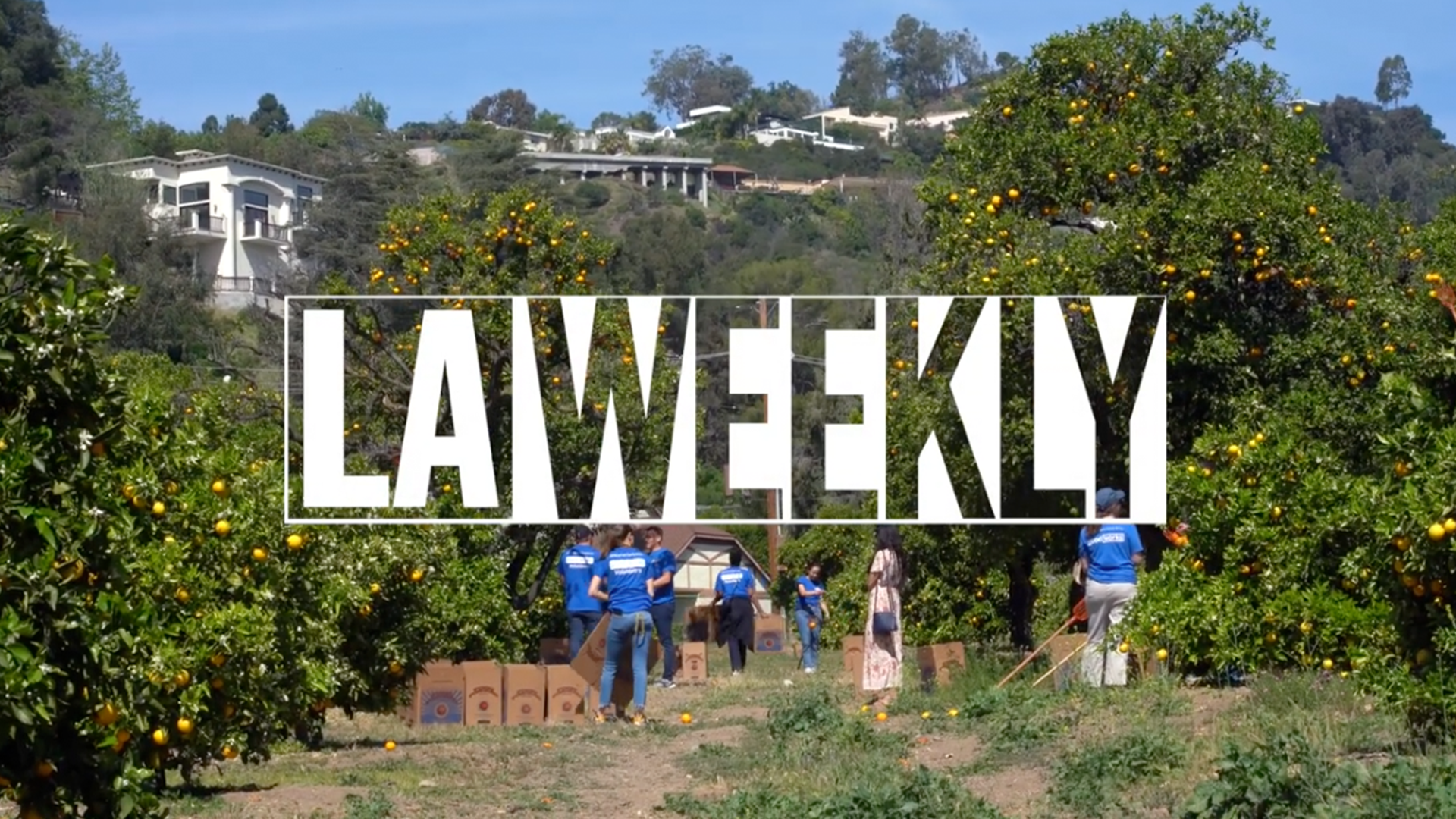Orange Grove and LA Weekly Logo
