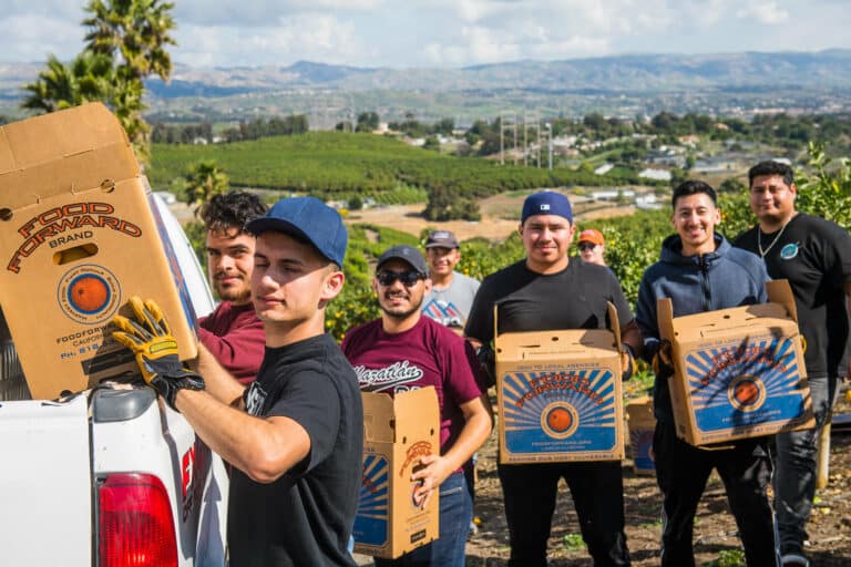 Volunteers in Ventura County holding Food Forward boxes and loading them onto truck