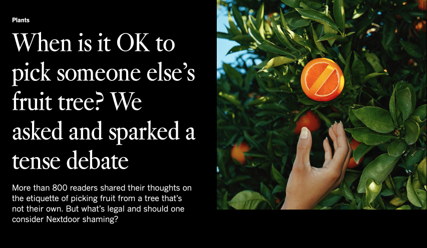 Screenshot of LA Times article with headline "When is it ok to pick fruit from someone else's tree?"