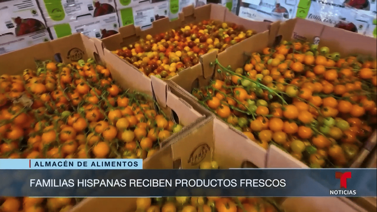 Screenshot from Food Forward's feature on Telemundo